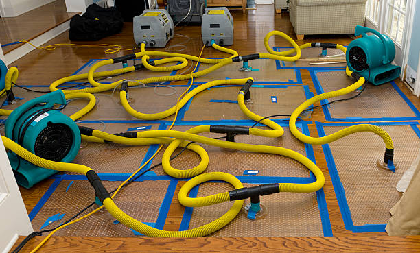 Professional Crawl Space Water Removal technician working in Wayland, OH